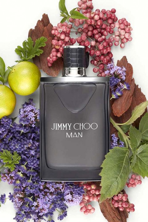 Парфем Jimmy Choo Man EDT 50mlIVET.MK - Твојата онлајн продавница