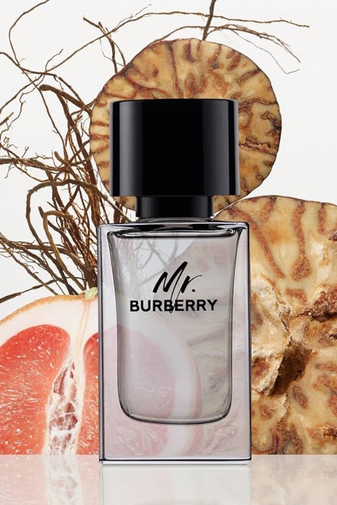 Парфем Burberry Mr. Burberry EDT 50 ml Macedonian Види сѐIVET.MK - Твојата онлајн продавница