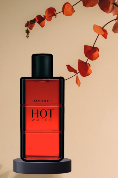 Парфем Davidoff Hot Water EDT 110 mlIVET.MK - Твојата онлајн продавница