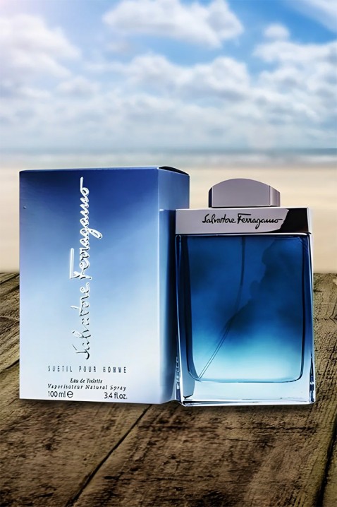 Парфем Salvatore Ferragamo Subtil Pour Homme EDT 100 mlIVET.MK - Твојата онлајн продавница