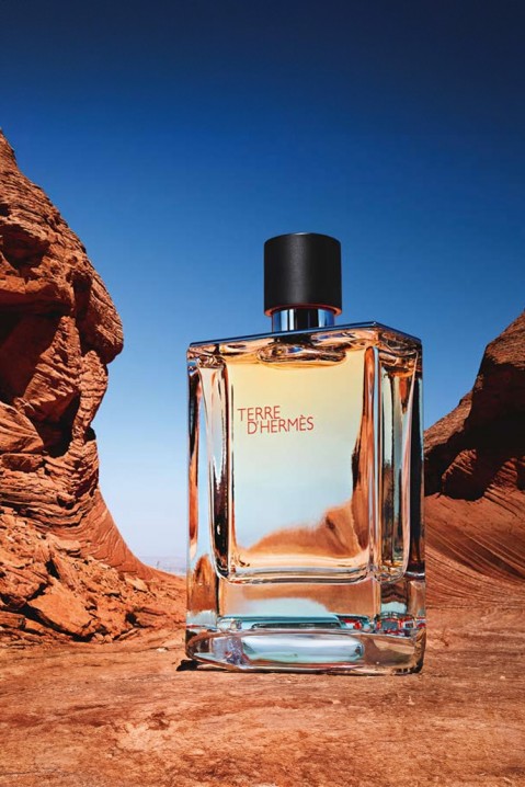 Парфем Hermes Terre D`Hermes EDT 100 mlIVET.MK - Твојата онлајн продавница