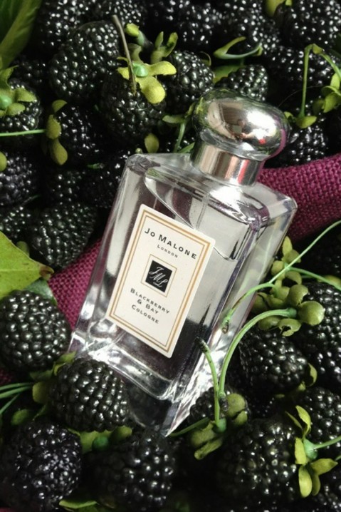 Парфем Jo Malone Blackberry & Bay EDC 100 mlIVET.MK - Твојата онлајн продавница