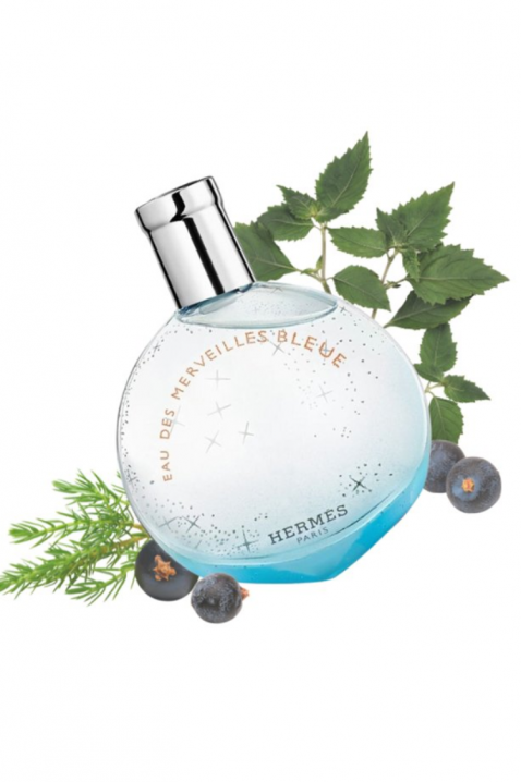 Парфем Hermes Eau Des Merveilles Bleue EDT 50 mlIVET.MK - Твојата онлајн продавница