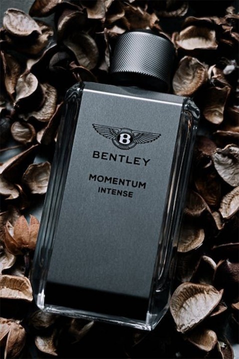 Парфем Bentley Momentum Intense EDP 100 mlIVET.MK - Твојата онлајн продавница